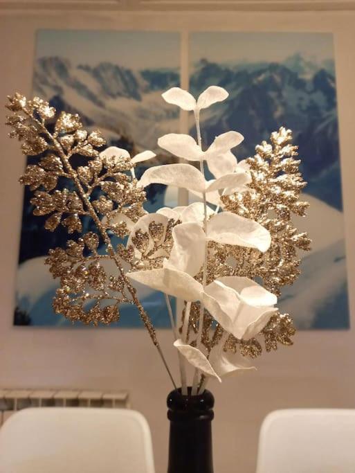Bel Appartement Familial Et Cosy Saint-Gervais-les-Bains Esterno foto